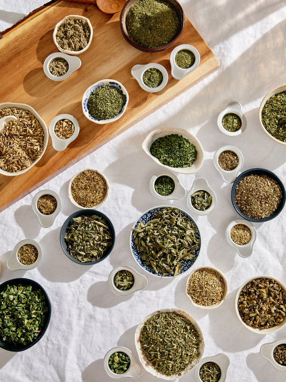 The Herb Garden & Spice Kit