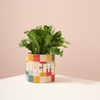 Naughty-Nice Popcorn Planter